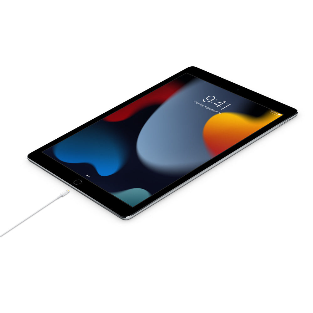 Apple Lightning auf USB-C Kabel