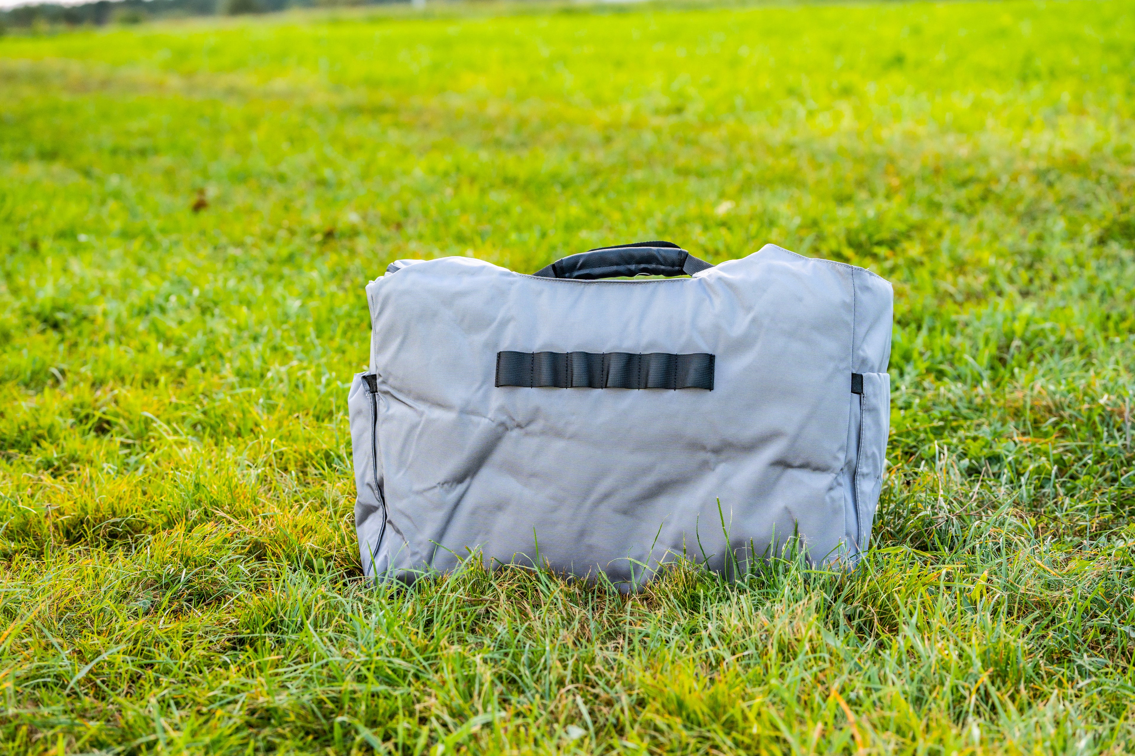 EcoFlow Wave 2 Tasche