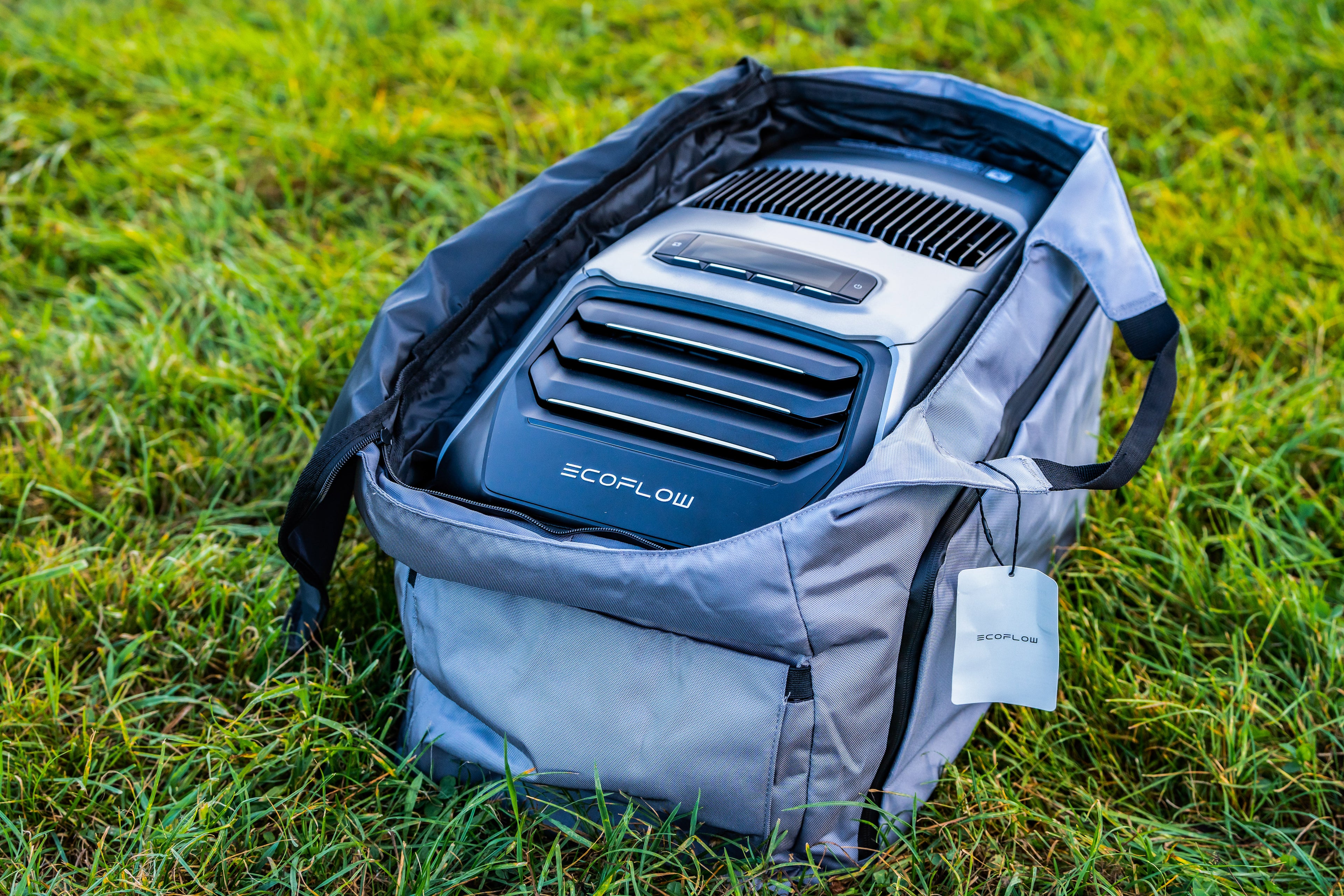EcoFlow Wave 2 Tasche