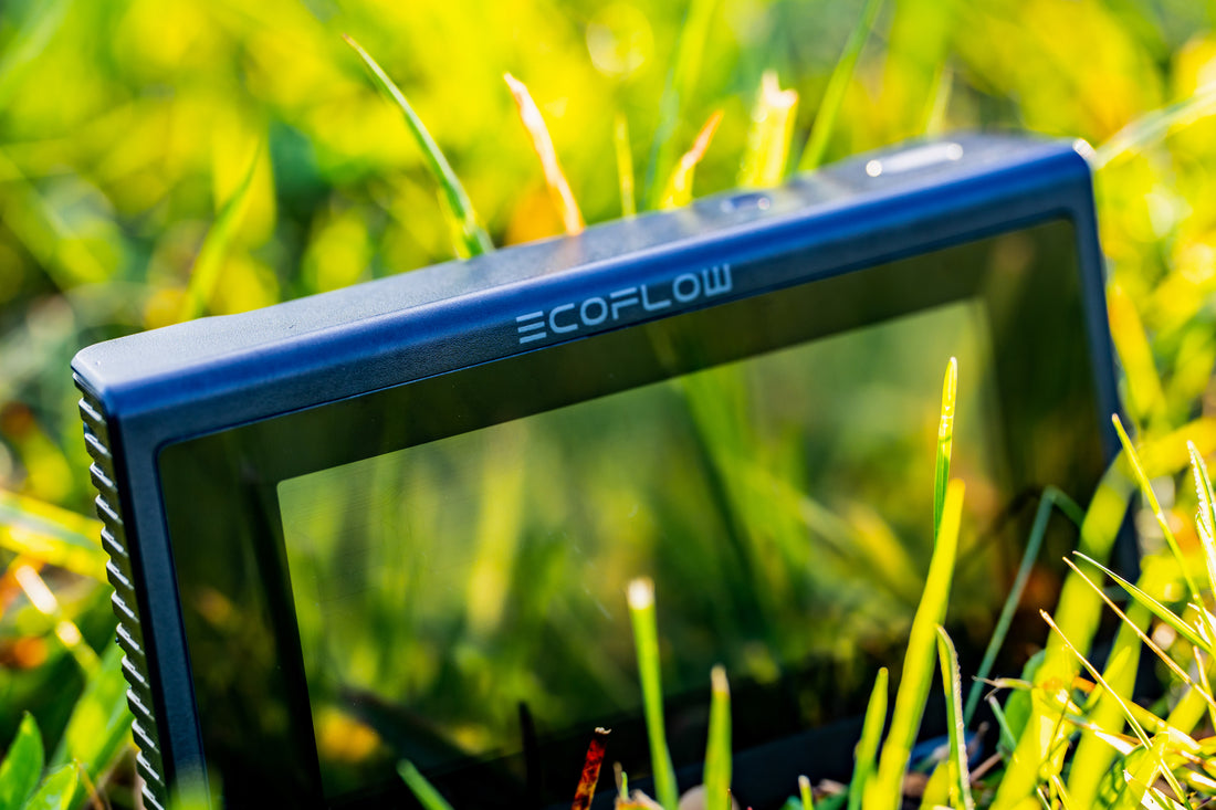 EcoFlow Delta Pro Fernbedienung