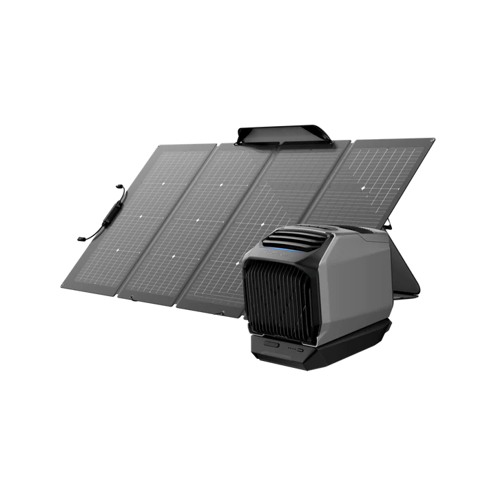 EcoFlow Wave 2