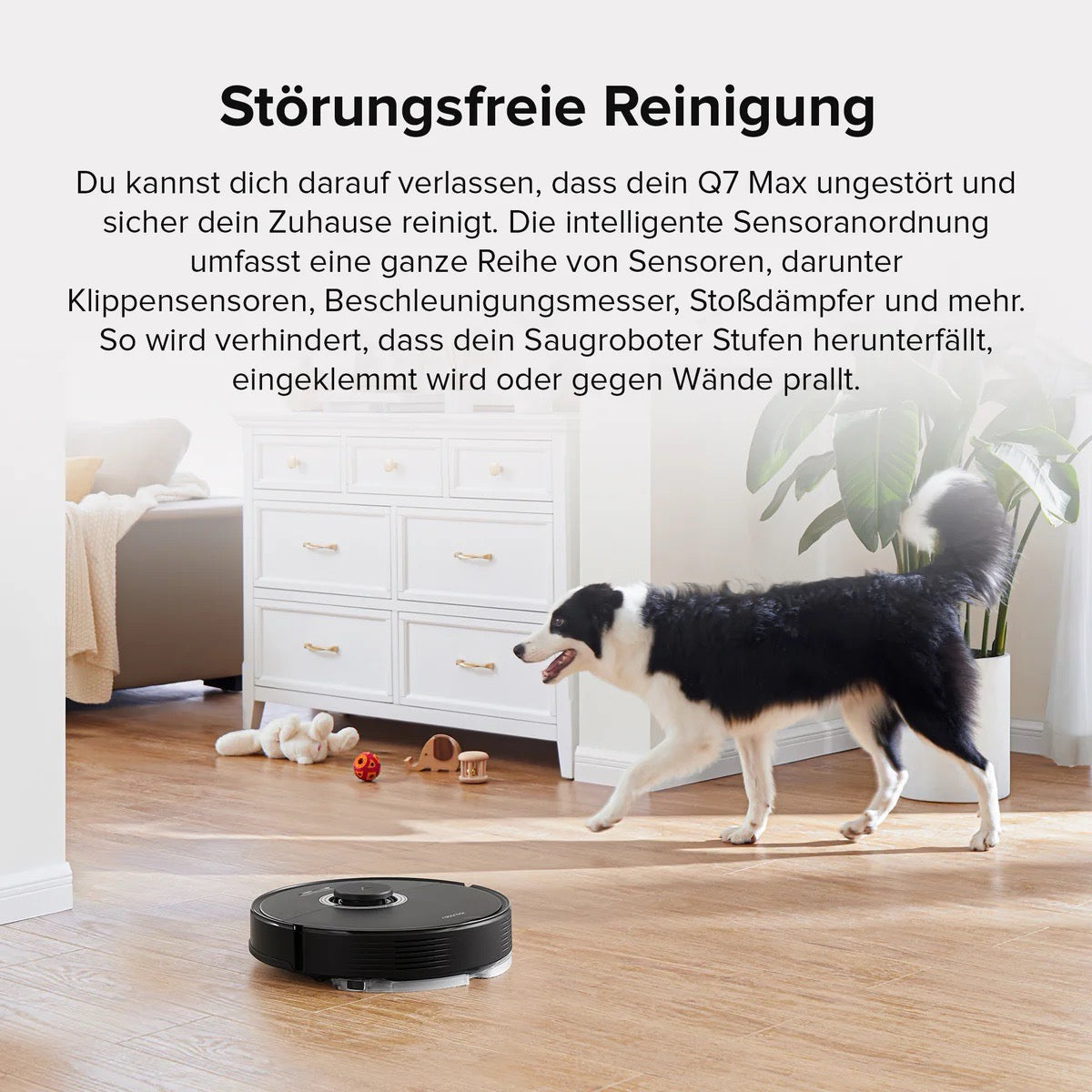 Roborock Q7 Max Saugroboter und Wischmopp