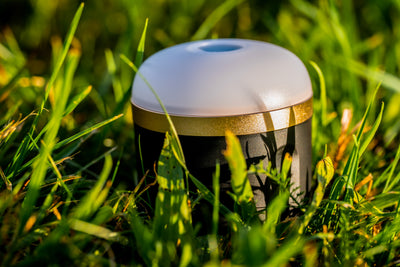 EcoFlow camping lamp