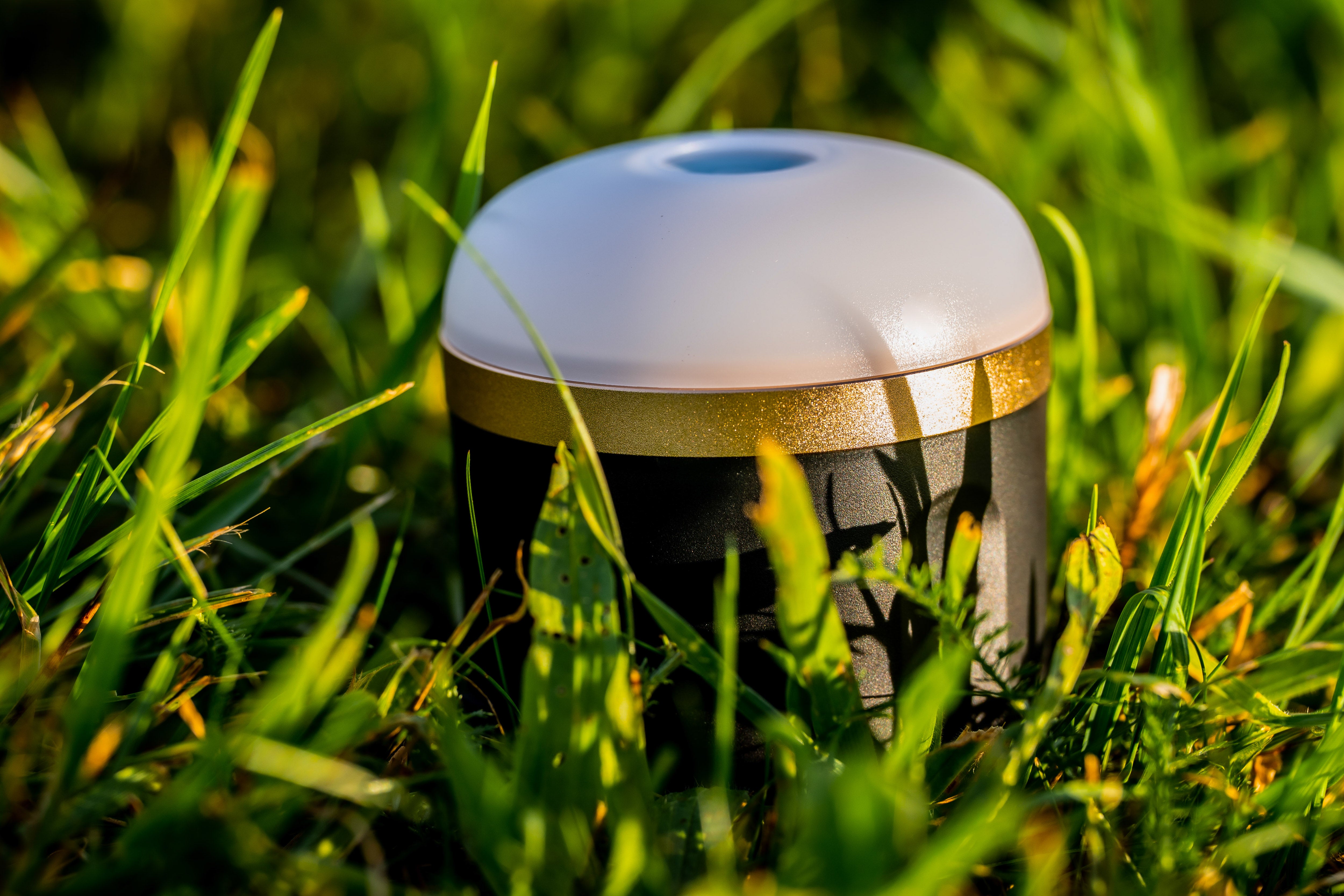 EcoFlow camping lamp
