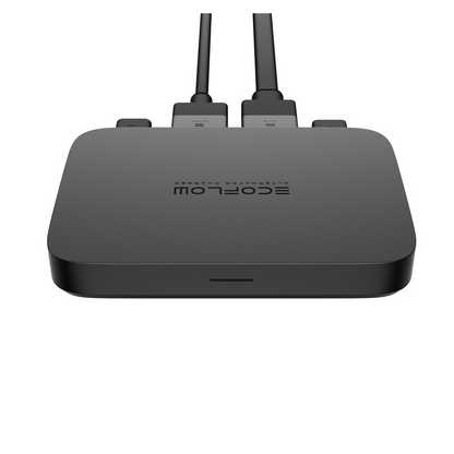 EcoFlow Batterieladegerät 800W Alternator Charger