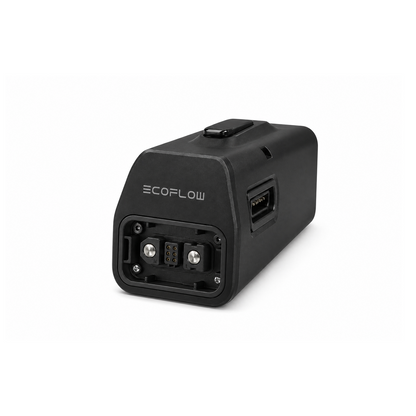 EcoFlow Delta Pro zu Smart Generator Adapter B-Ware