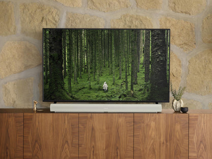 SONOS Arc Ultra B-Ware