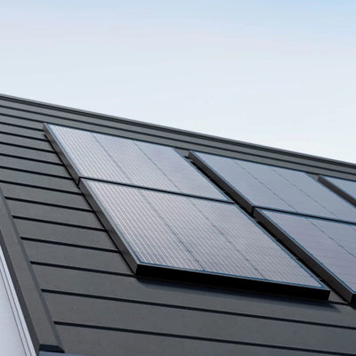 EcoFlow 100W Starres Solarpanel 2er Set