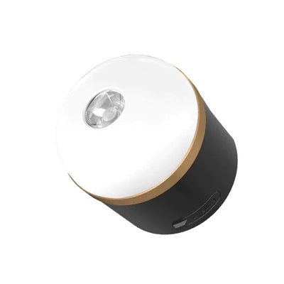 EcoFlow camping lamp