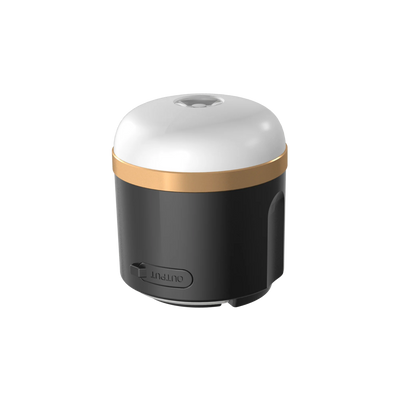 EcoFlow camping lamp