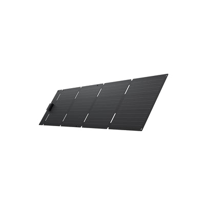 EcoFlow Typ C Faltbares Solarpanel 60W