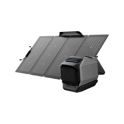 EcoFlow Wave 2
