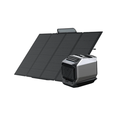 EcoFlow Wave 2